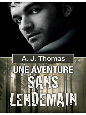 cover image of Une aventure sans lendemain
